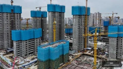 电竞明星加盟，亚博体育app，新队，冲击世界赛巅峰